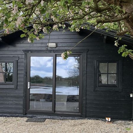 The Cosy Cabin By The Shore Galway Zewnętrze zdjęcie