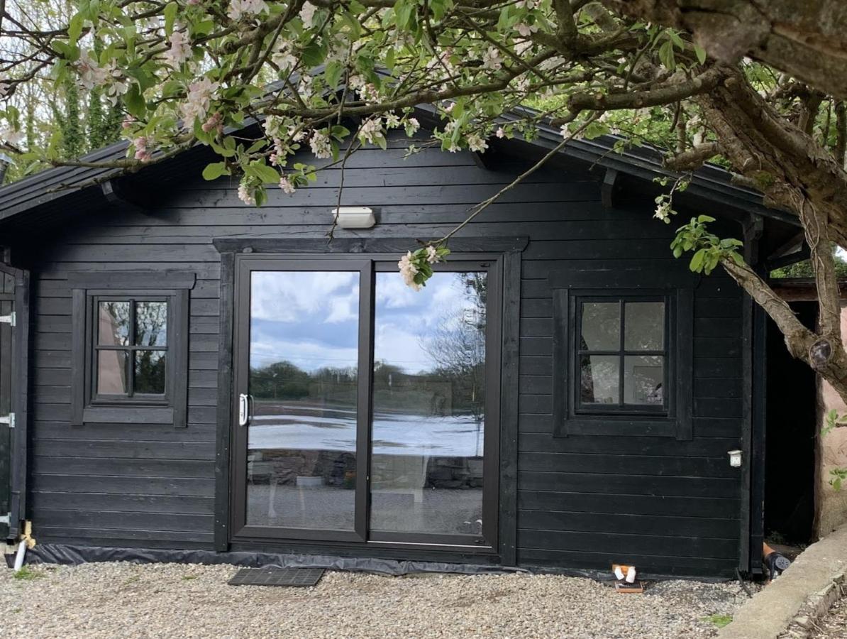 The Cosy Cabin By The Shore Galway Zewnętrze zdjęcie